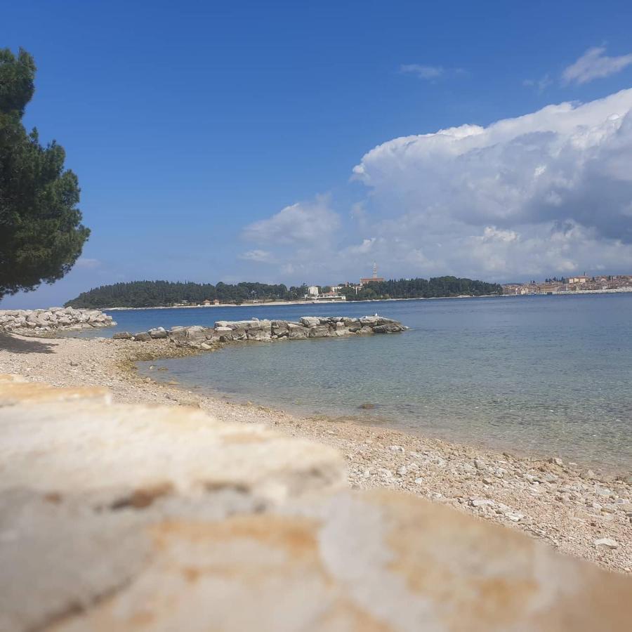 Vila Tena Rovinj Croatia Extérieur photo