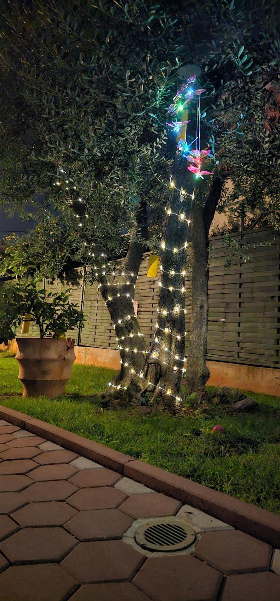 Vila Tena Rovinj Croatia Extérieur photo